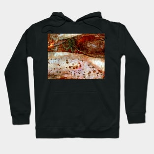 Sedimentary Rock 2 Hoodie